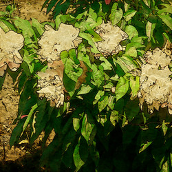 Similar image 7894133