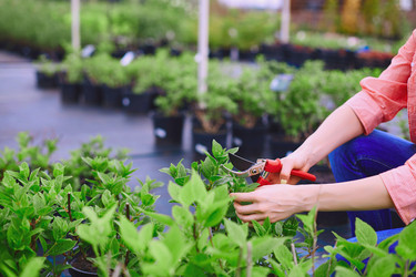 Similar image 7894136