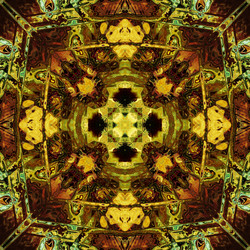 Similar image 7894154