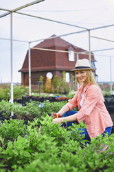 Similar image 7894164