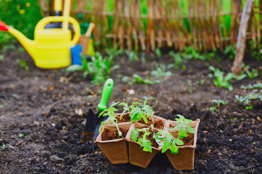 Similar image 7894237