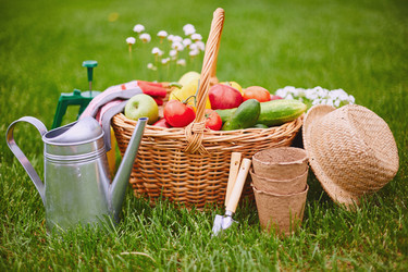 Similar image 7894245