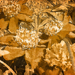 Similar image 7894265