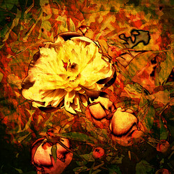 Similar image 7894291