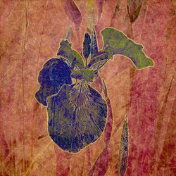 Similar image 7894292