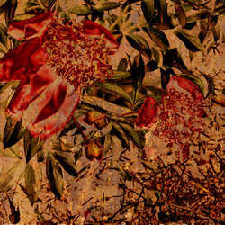 Similar image 7894296