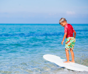 Similar image 7894434