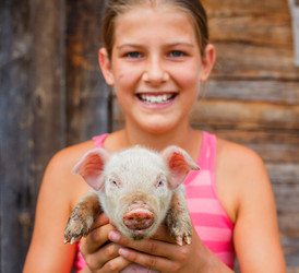 Similar image 7894471