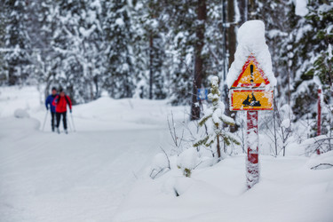 Similar image 7894502