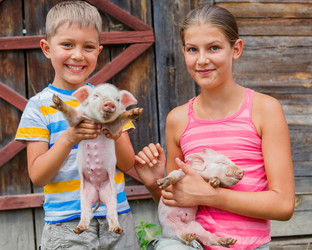 Similar image 7894510