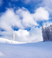 Similar image 7894558