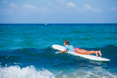 Similar image 7894637