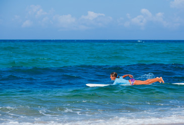 Similar image 7894639