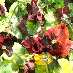 Similar image 7894670