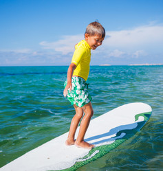 Similar image 7894683