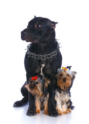 Similar image 7894733