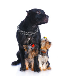 Similar image 7894734