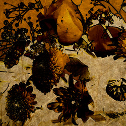 Similar image 7894750