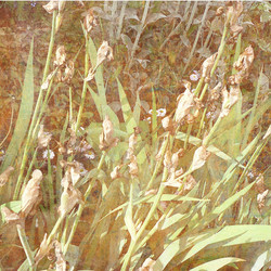 Similar image 7894784