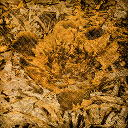 Similar image 7894785