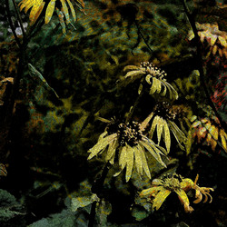 Similar image 7894786