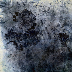 Similar image 7894820