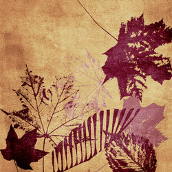 Similar image 7894822