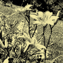 Similar image 7894832