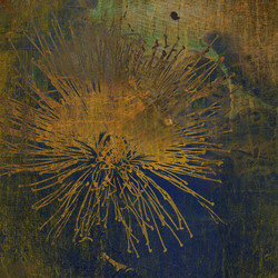 Similar image 7894840