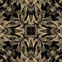 Similar image 7894856