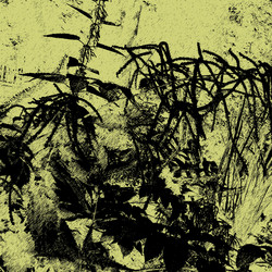 Similar image 7894893