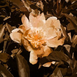 Similar image 7894921