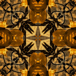 Similar image 7894932