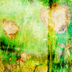 Similar image 7894954