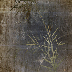 Similar image 7894958