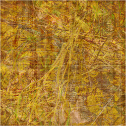 Similar image 7894966