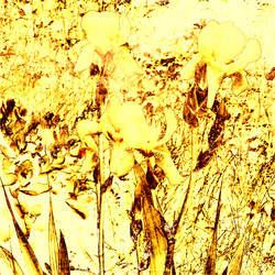 Similar image 7894974