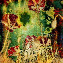 Similar image 7894988