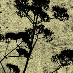 Similar image 7894992