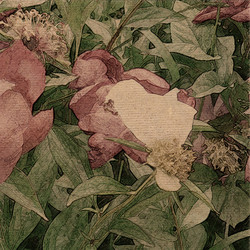 Similar image 7894996