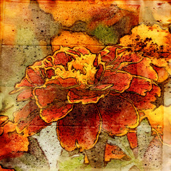 Similar image 7895065