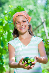 Similar image 7895192