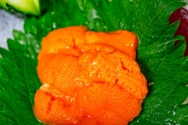 Similar image 7895237