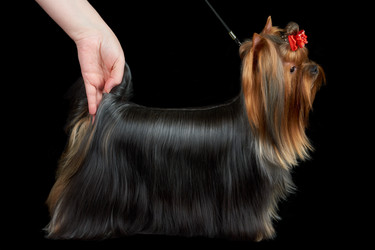 Similar image 7895256