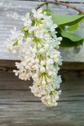 Similar image 7895272