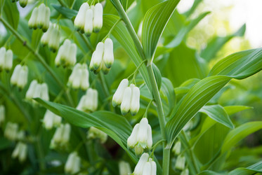 Similar image 7895273