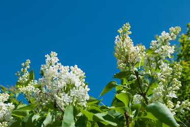 Similar image 7895274