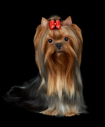 Similar image 7895276