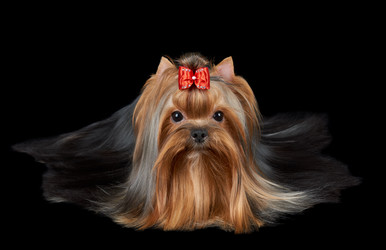 Similar image 7895277