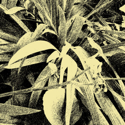 Similar image 7895425